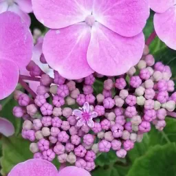 energetische healing en innerlijke balans